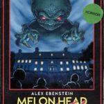 Melon Head Mayhem review