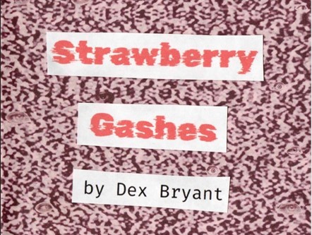 Strawberry Gashes: How Making a Retro Horror Zine was More Artistically Satisfying than Trad Publishing